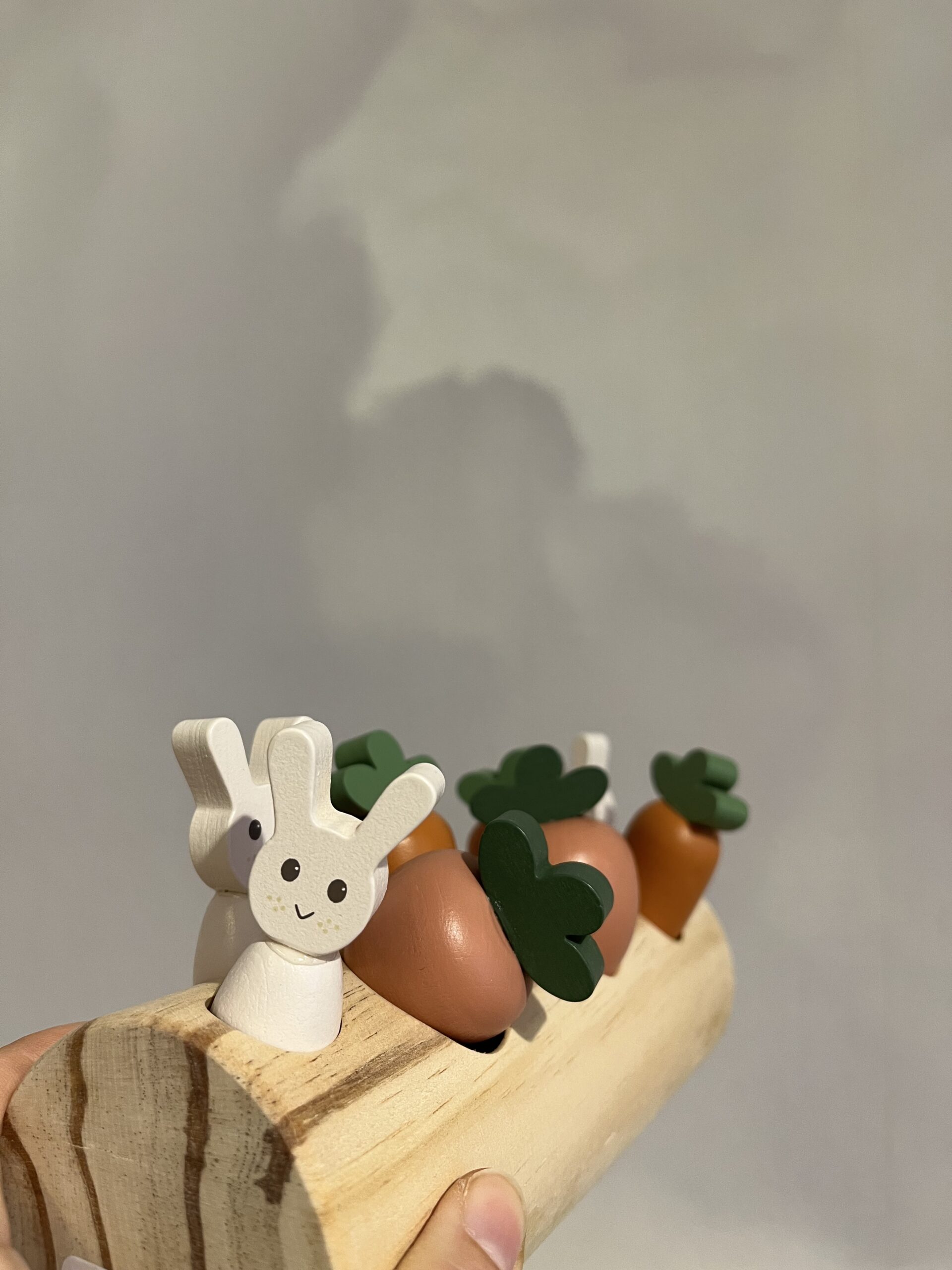 Bûche de lapins et légumes à encastrement – Image 2