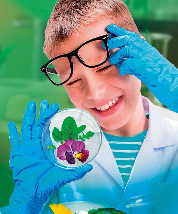 La science au microscope pour enfant CLEMENTONI – Image 2