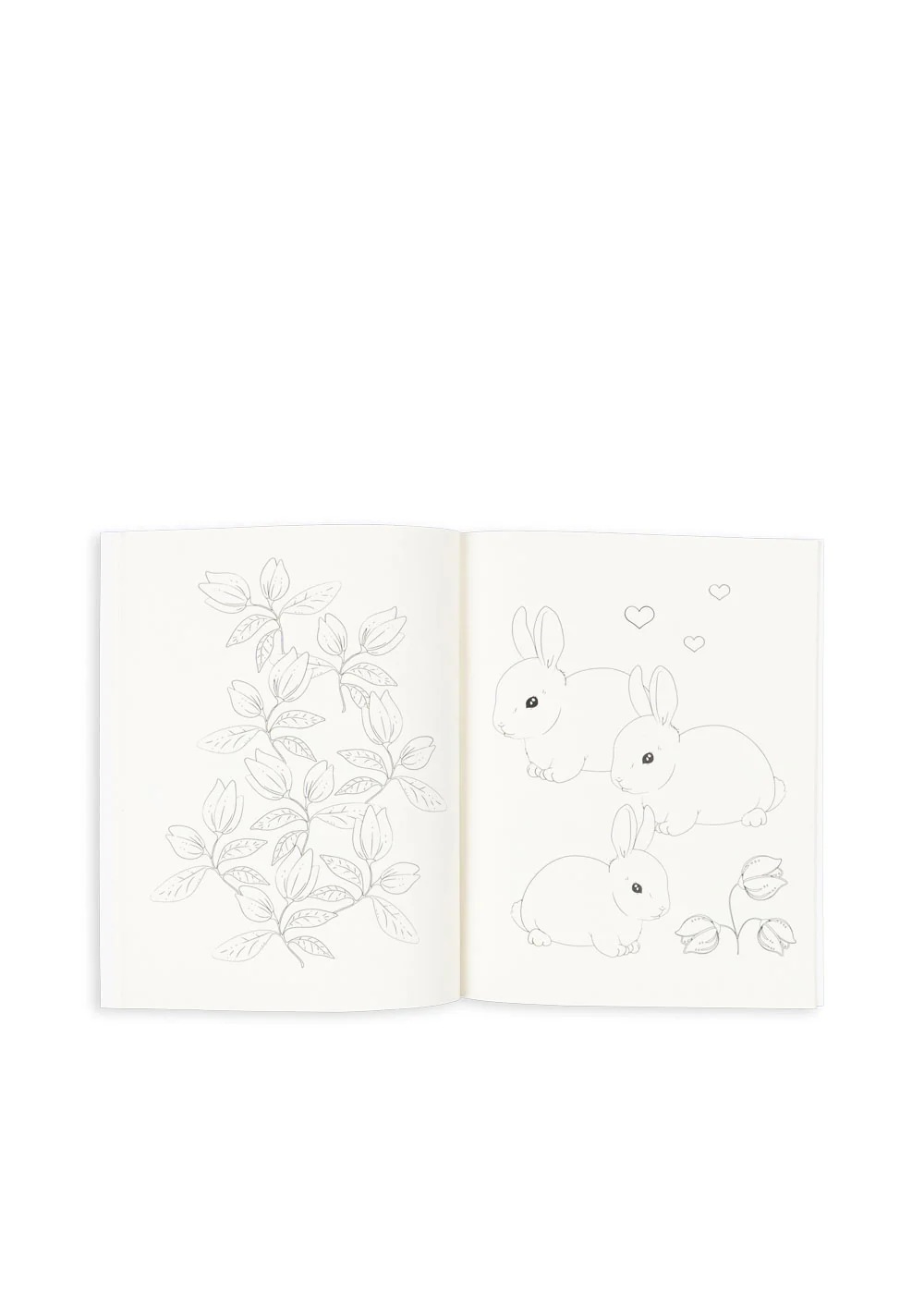 Cahier de coloriage et crayons de couleurs / Cygne – Image 3