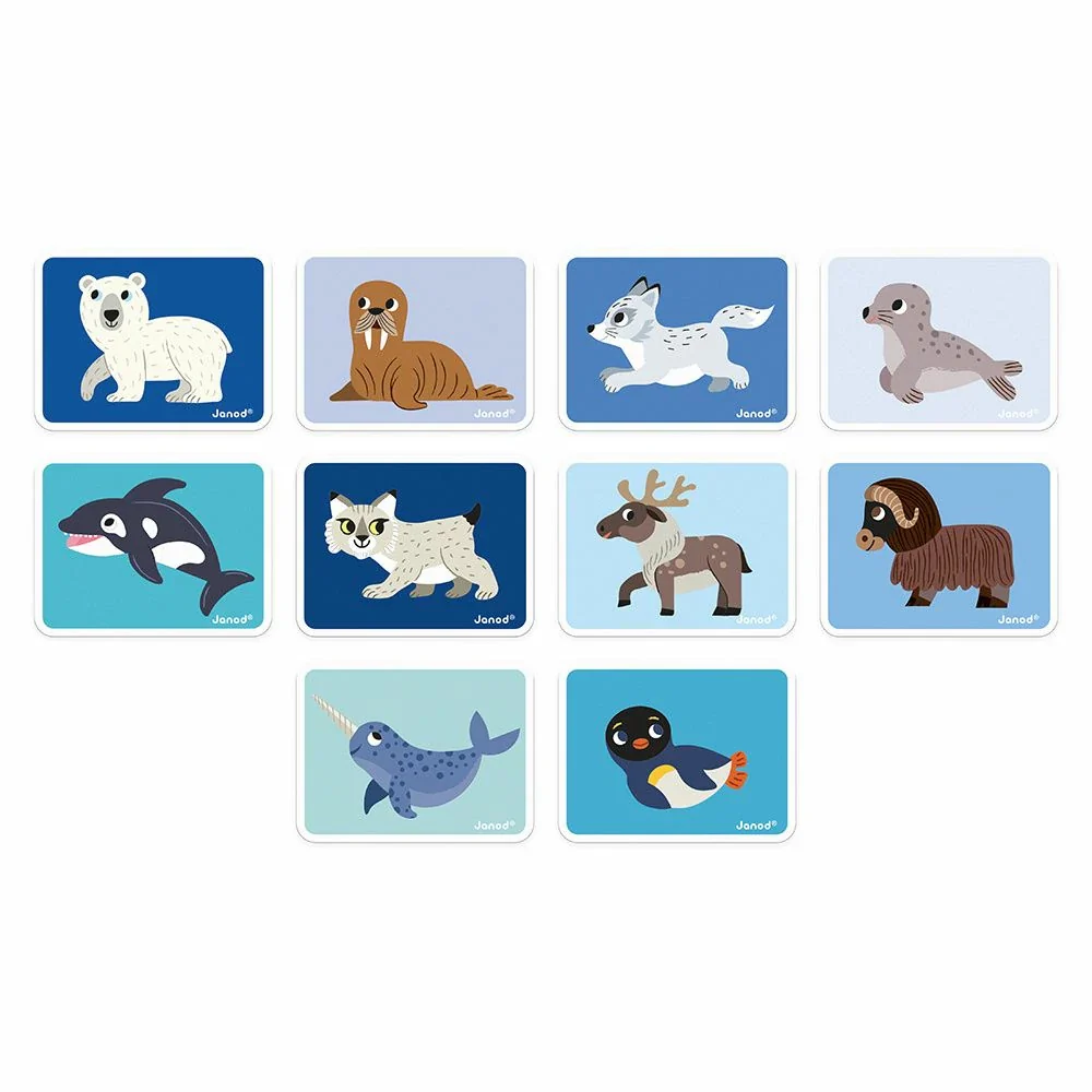 MAGNETI'BOOK ANIMAUX POLAIRES, 30 AIMANTS – Image 2