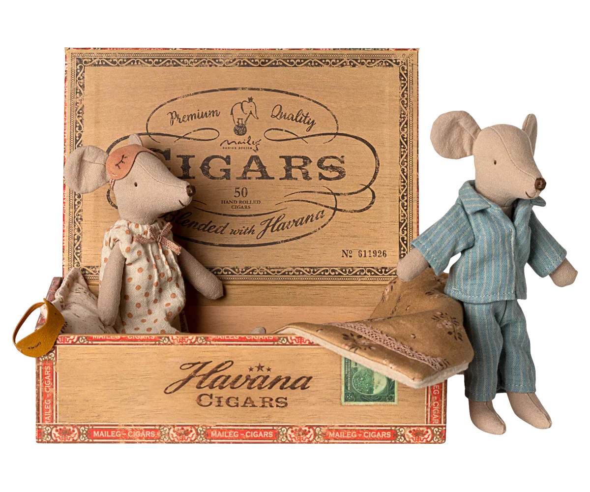 SOURIS MAMAN ET PAPA DANS BOÎTE DE CIGARES – Image 2